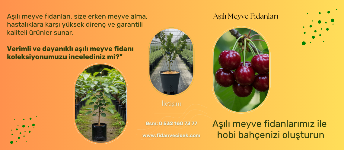 UYANIKLAR FİDANCILIK SANAYİ TİCARET LİMİTED ŞİRKETİ - 2