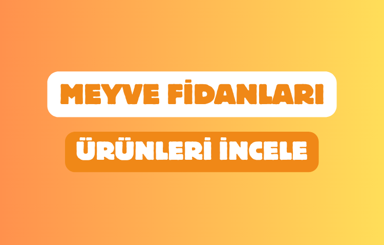 UYANIKLAR FİDANCILIK SANAYİ TİCARET LİMİTED ŞİRKETİ Resim - 2