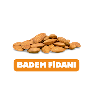 UYANIKLAR FİDANCILIK SANAYİ TİCARET LİMİTED ŞİRKETİ - 4