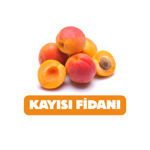 UYANIKLAR FİDANCILIK SANAYİ TİCARET LİMİTED ŞİRKETİ - 5