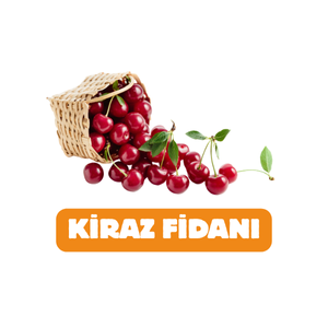 UYANIKLAR FİDANCILIK SANAYİ TİCARET LİMİTED ŞİRKETİ - 3