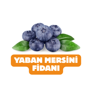 UYANIKLAR FİDANCILIK SANAYİ TİCARET LİMİTED ŞİRKETİ - 1