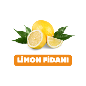 UYANIKLAR FİDANCILIK SANAYİ TİCARET LİMİTED ŞİRKETİ - 2