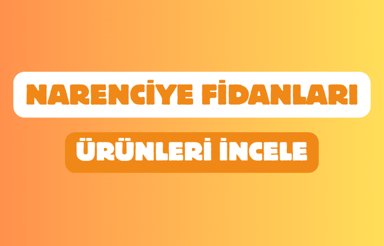 UYANIKLAR FİDANCILIK SANAYİ TİCARET LİMİTED ŞİRKETİ Resim - 3