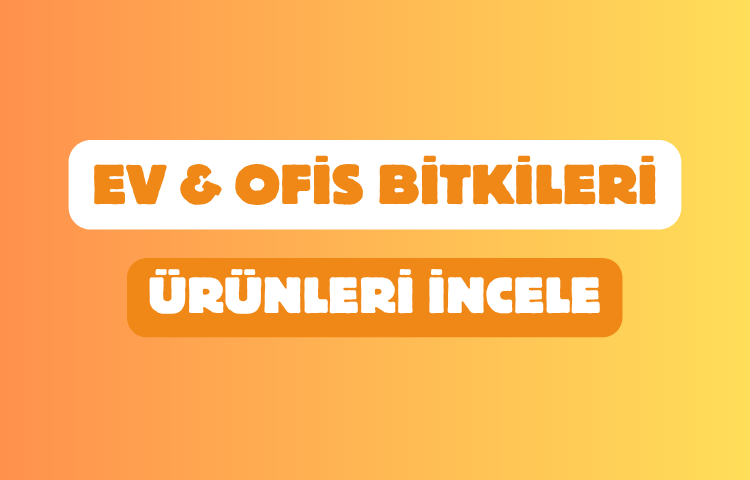 UYANIKLAR FİDANCILIK SANAYİ TİCARET LİMİTED ŞİRKETİ Resim - 1