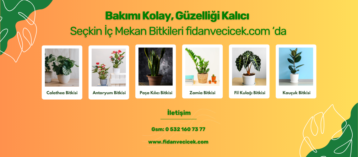 UYANIKLAR FİDANCILIK SANAYİ TİCARET LİMİTED ŞİRKETİ - 1
