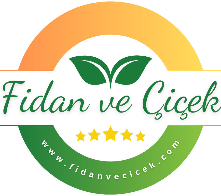 Kargo Hakkında Kargo Hakkında